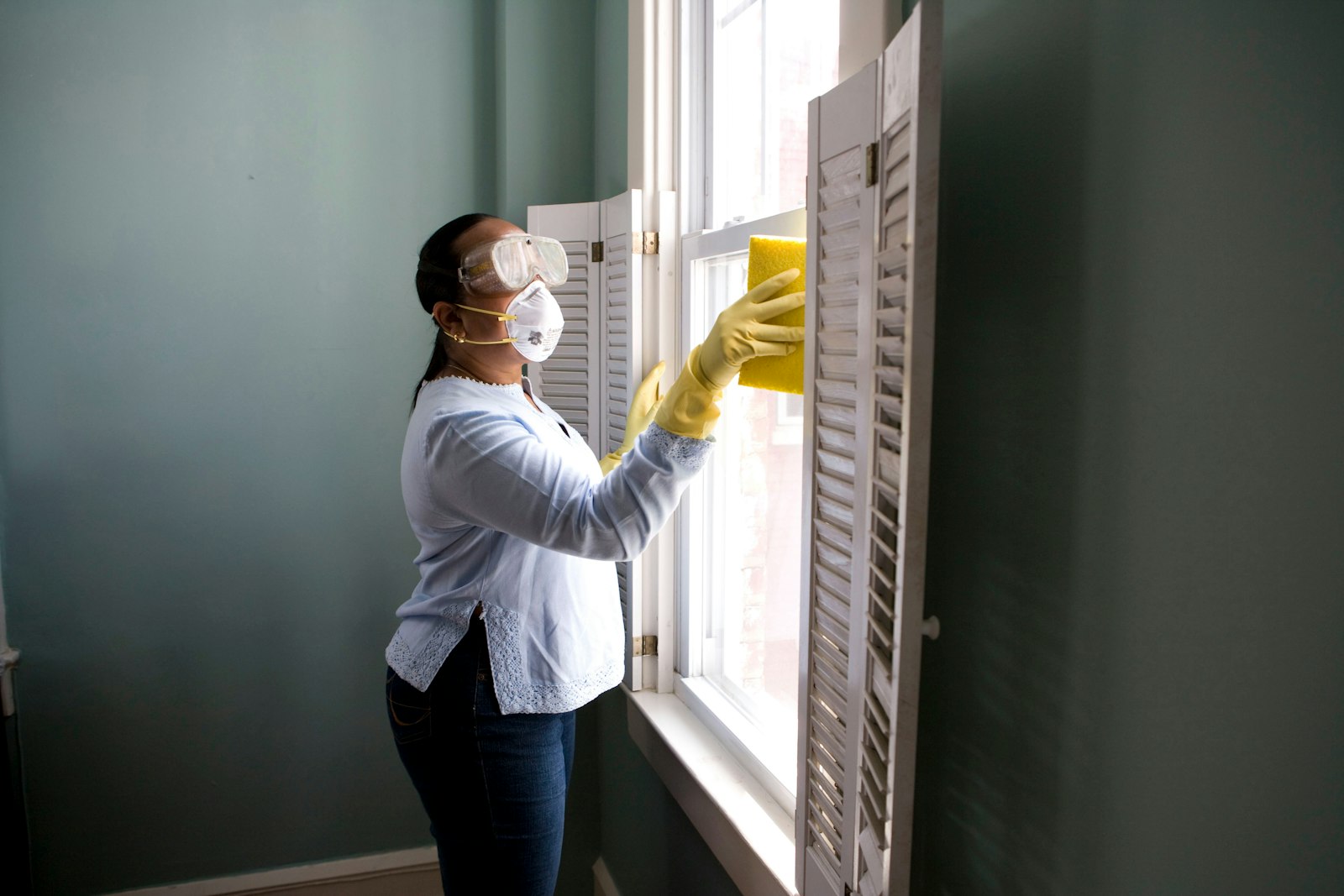 Mold Remediation service in Arlington Heights, IL